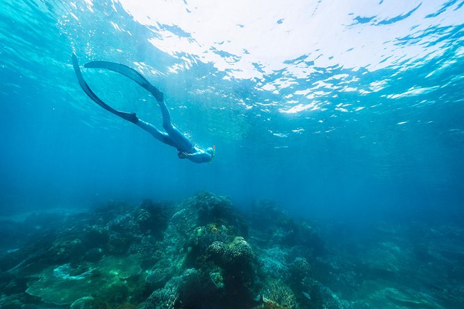 Try Freediving on Nusa Penida - Equipment and Comfort: What to Bring and What’s Provided