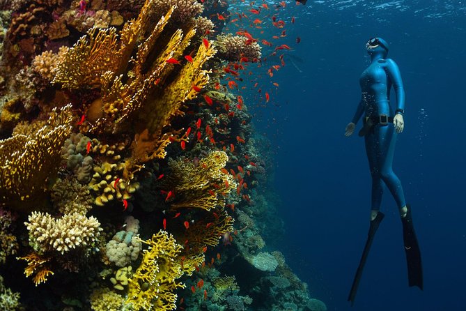 Try Freediving on Nusa Penida - Price and Value: Is $150 Fair for 3 Hours?