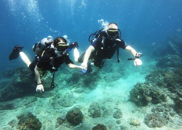 Try Scuba Diving at Padang Bai - A Beginner-Friendly Day Trip to Padangbai