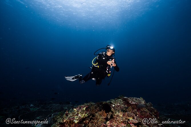 Try Scuba Diving for Beginners with manta rays (Non - Certified) - Price and value: what you’re actually paying for