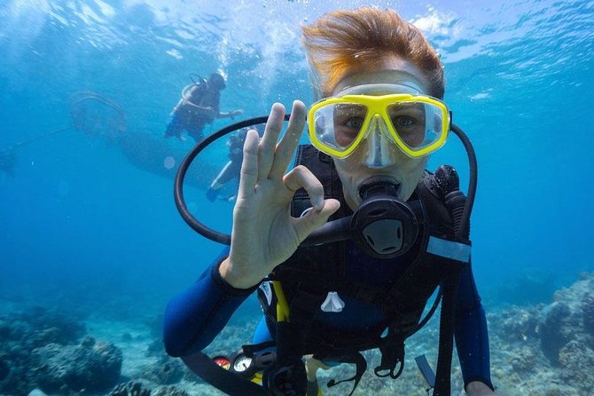 Tulamben Diving Tour Shipwreck USS Bali - Between sessions: Balinese lunch, coffee or tea, and real recovery time