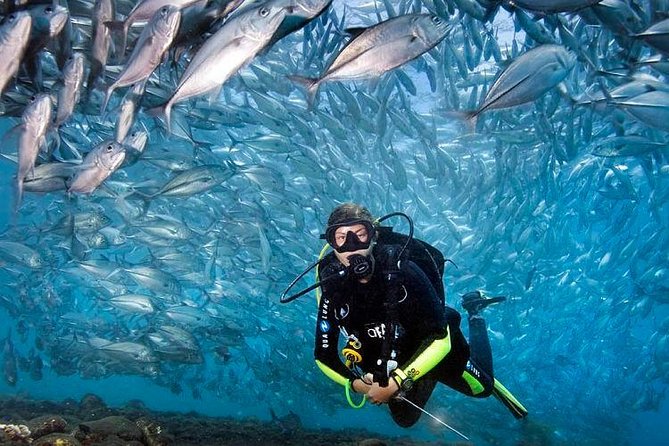 Tulamben Diving Tour Shipwreck USS Bali - After the water: photos, DVD options, and how to manage expectations
