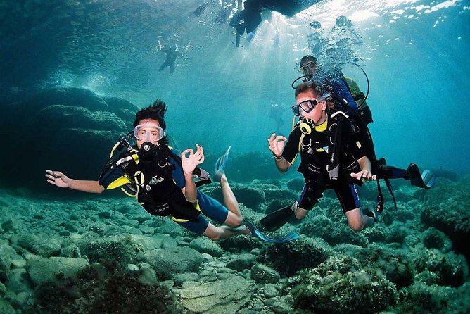 Tulamben Diving Tour Shipwreck USS Bali - Price and value: why around $102 can still feel fair