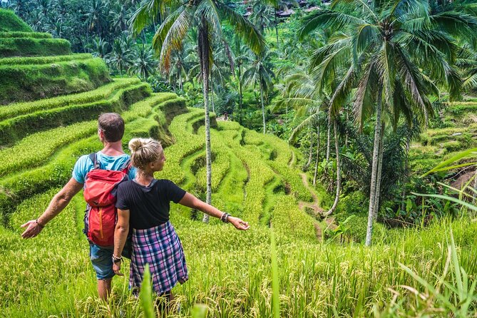 Ubud Adventure All Inclusive Private Day Tour - Price and Value: How $28.56 Can Be a Deal