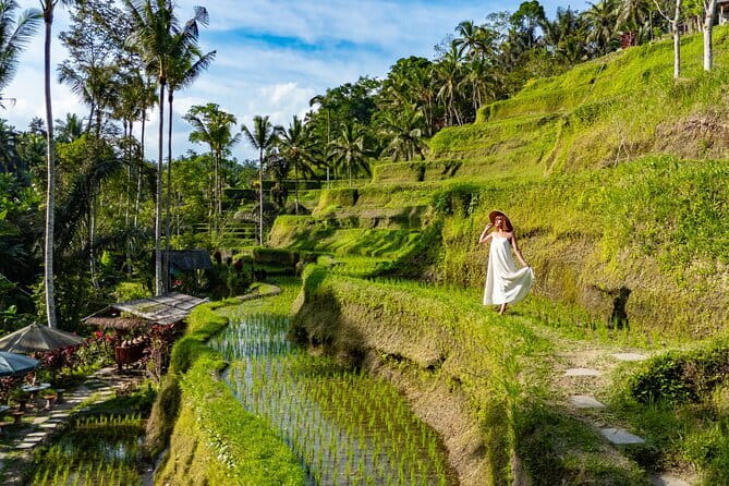 Ubud All-Inclusive Tour with Swing and Lunch - Key highlights worth clocking