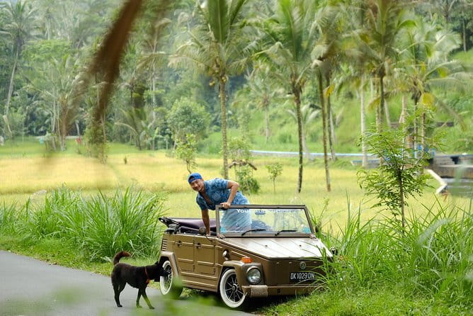 Ubud All-Inclusive Tour with Swing and Lunch - Ubud Jungle Swing meets Tegalalang Rice Terrace (two must-see viewpoints)