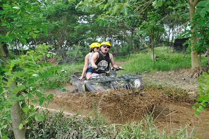 Ubud ATV Quad Bike, Monkey Forest and Rice Terrace - Lunch reality check at Quad Restaurant: buffet on paper, choice in practice