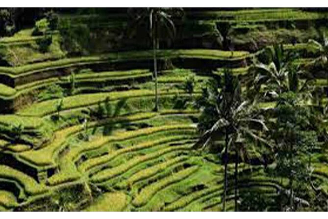 Ubud ATV Quad Bike, Monkey Forest and Rice Terrace - The ATV ride: helmets, boots, and how the day actually feels