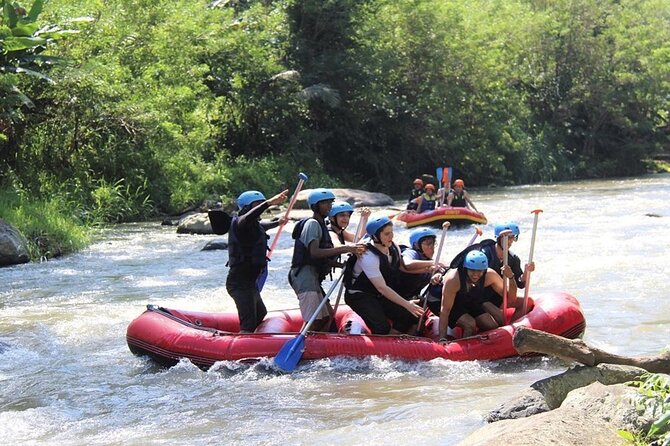 Ubud ATV Quad Bike with Ayung River Rafting Experience - Buffet lunch: the value break in the middle