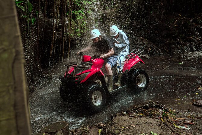 Ubud ATV Quad Bike with Infinity Pool Access All Inclusive - Price and value: what $36.39 gets you in Ubud