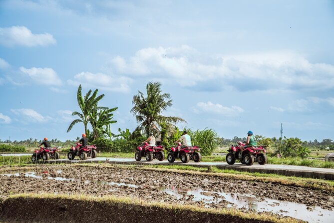 Ubud ATV Quad Bike with Infinity Pool Access All Inclusive - The automatic ATV ride through rice fields, jungle, and villages