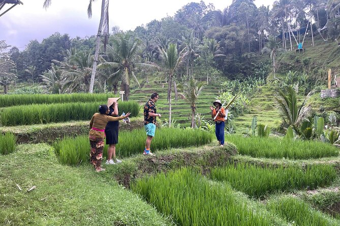 Ubud: ATV Rafting + Zipline, Swing, Sky Bike in Bali Rice Terrace - Price and Value: What $32 Buys You (and What to Double-Check)