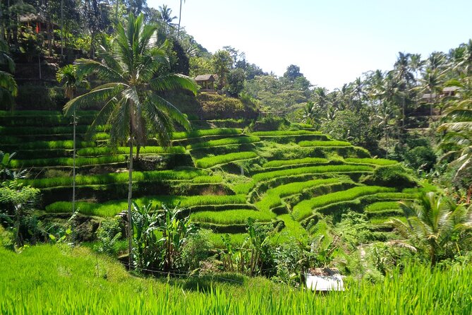 Ubud ATV ride Adventure and water rafting - Private Group Comfort: Better for Friends, Families, and Calm Planning