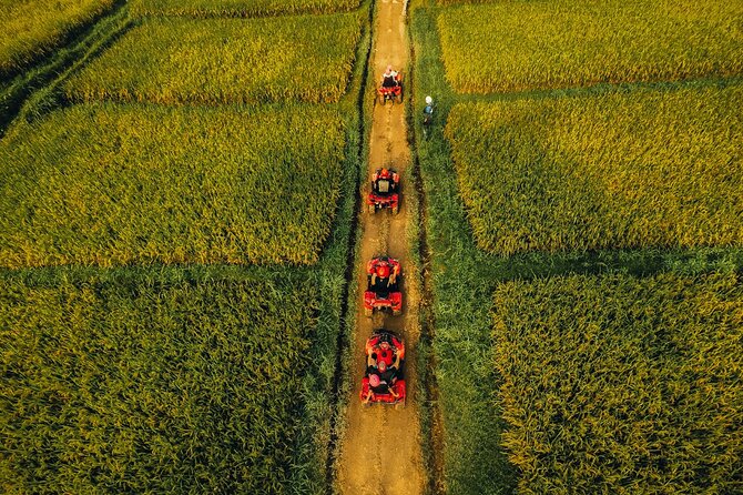 Ubud ATV Ride through River Jungle Rice Fields Puddles - Booking Smart: Questions to Ask Before You Go