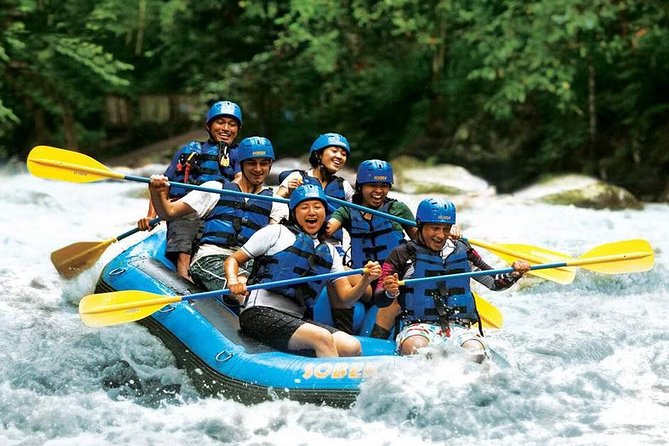 Ubud Ayung Water Rafting included Lunch and Transfer - Price and value: what $19.40 actually buys you