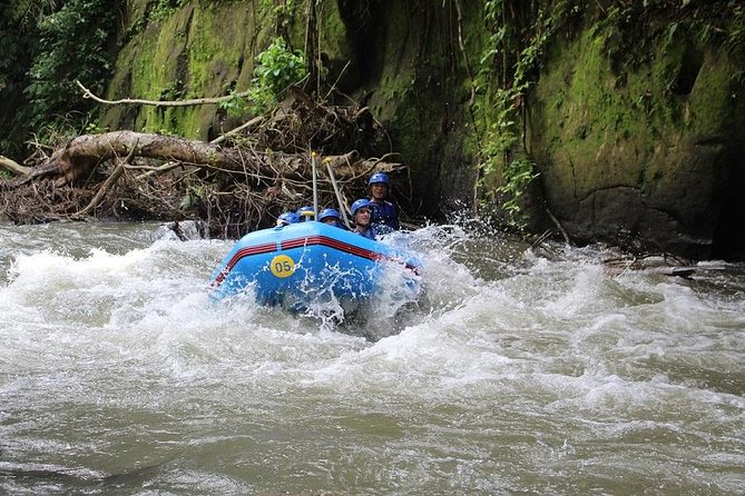 Ubud Ayung Water Rafting included Lunch and Transfer - Who should book this Ayung rafting package