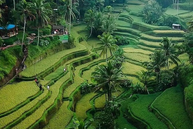 Ubud Bali Driver ( Bali Custom Tour ) - Customizing without breaking the route