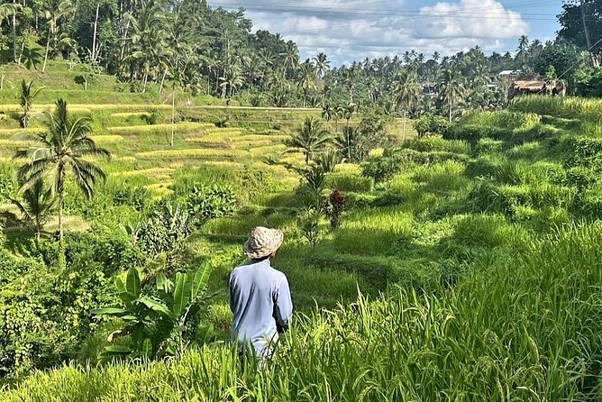 Ubud Bali Driver - Private Driver in Ubud - The rhythm of an 8–10 hour Ubud day (and why it works)