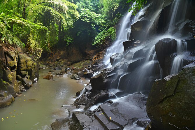 Ubud Bali: Rice Terrace, Waterfall and Tirta empul Day Tour - Price and what $35.32 per person really buys you
