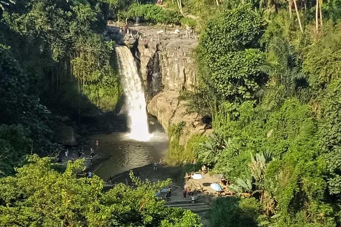 Ubud Best Tour - Sacred Monkey Forest Sanctuary: enjoy Wanara with smart habits