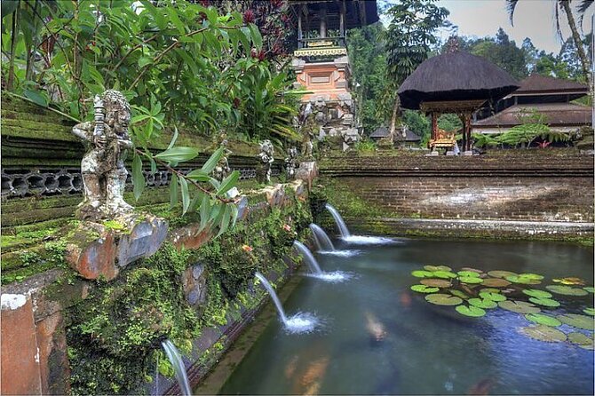 Ubud Best Tour - Tegalalang Rice Terrace: classic terraces, planned time, and good shoes