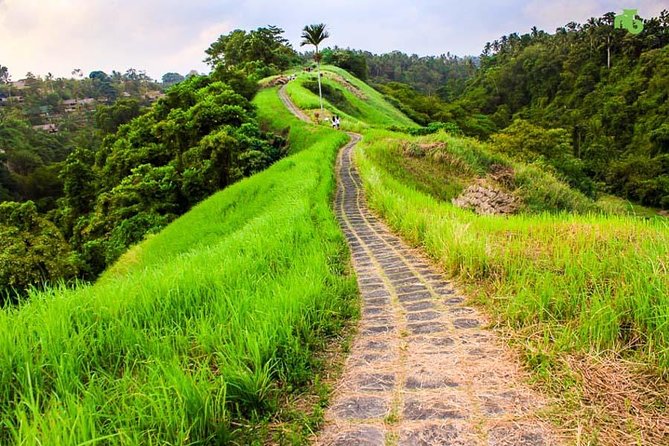 Ubud Countryside Tour: Campuhan Ridge Walk and Rice Terrace - Key Points Before You Go