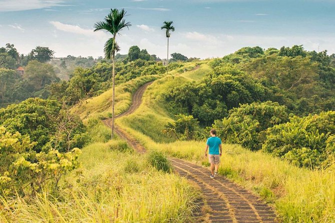 Ubud Countryside Tour: Campuhan Ridge Walk and Rice Terrace - Traditional Balinese House Compound (Batuan): Culture Before the Views