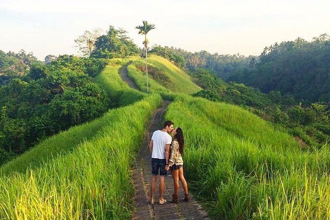 Ubud Countryside Tour: Campuhan Ridge Walk and Rice Terrace - Campuhan Ridge Walk: A Free, Easy Trail With Real Air