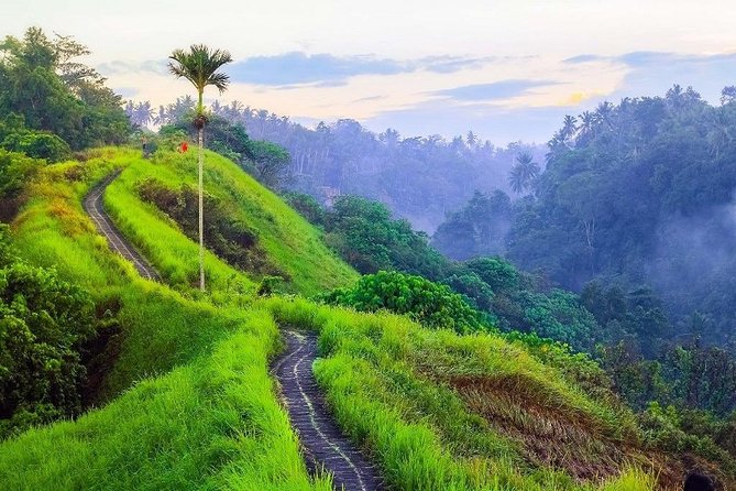 Ubud Countryside Tour: Campuhan Ridge Walk and Rice Terrace - Tirta Empul Temple: Holy Springs and Serious Etiquette