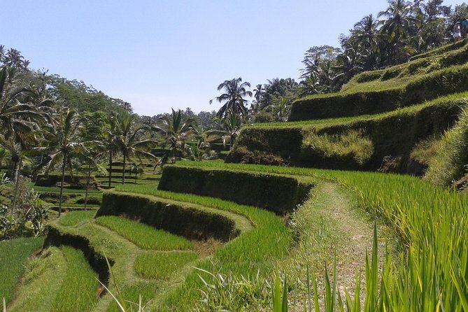 Ubud Cultural Day Tour: A Day for Balinese Cultural Experience - Puseh Batuan Temple: ancient walls that teach Ramayana and Mahabharata