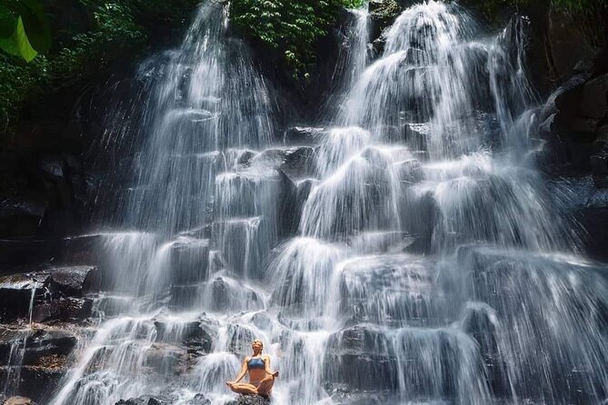 Ubud Customized Full Day Tour - Visit Most favorite In Ubud - Tirta Empul Temple: Holy Spring Water and a More Meaningful Stop