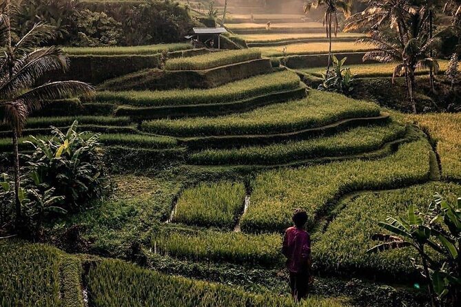Ubud Customized Full Day Tour - Visit Most favorite In Ubud - Tibumana Waterfall: The “Second Waterfall” That Helps Your Day Feel Full