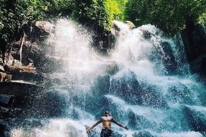 Ubud Customized Full Day Tour - Visit Most favorite In Ubud - Monkey Forest, Ubud Central Market, and Jungle Swing: Pick Your Flavor