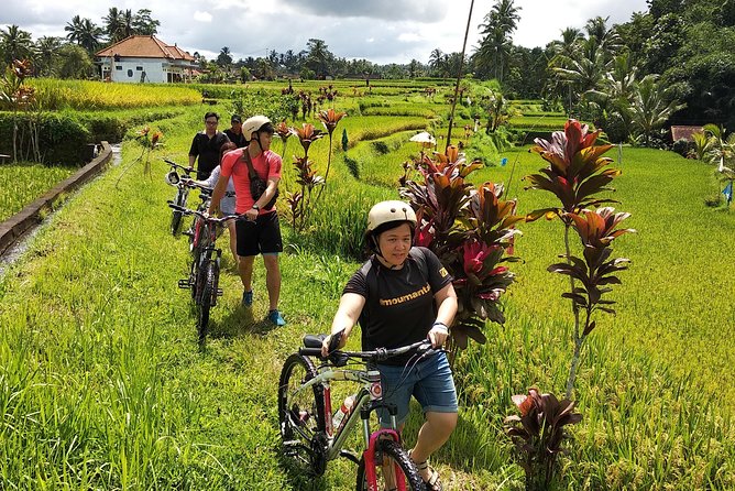 Ubud Cycling Tour - The Cycling Itself: Quiet Roads, Coconut Shade, and Pace Control