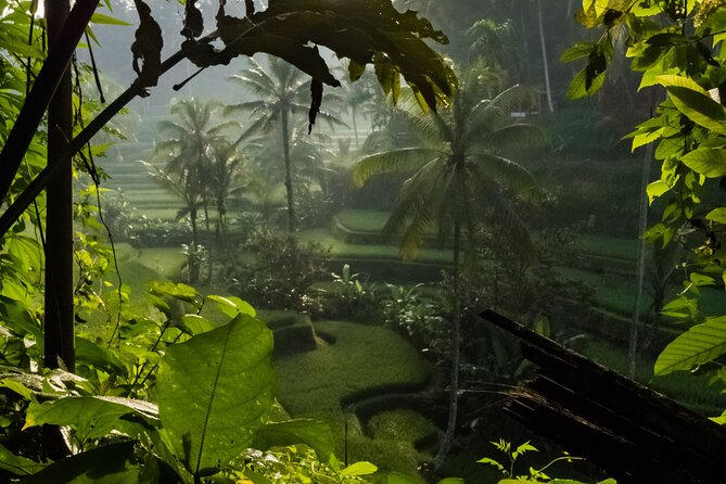Ubud Day Tour - Top Things to do in Ubud + Local Ubud Guide - Phalam Batik and souvenirs: handmade style on your schedule