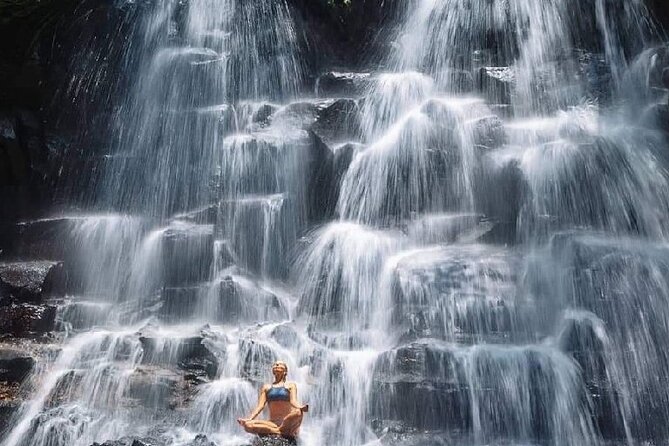 Ubud Day Tour : Waterfall, Temple and Local Night Market Tour - Food, tickets, and private transport: is the $21 value actually real?