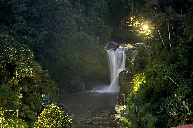 Ubud Day Tour with Private Car & Local Driver - Elephant Cave (Goa Gajah): ancient feeling, quick timing