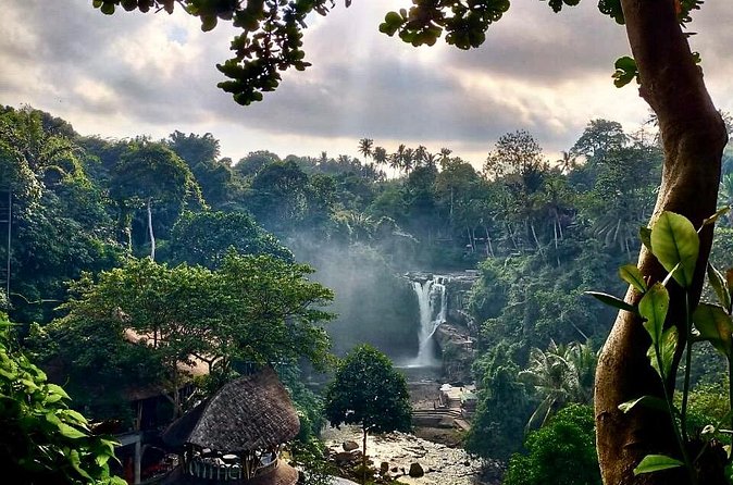 Ubud Day Tour with Private Car & Local Driver - Tirta Empul Temple: holy spring-water that’s more than a photo
