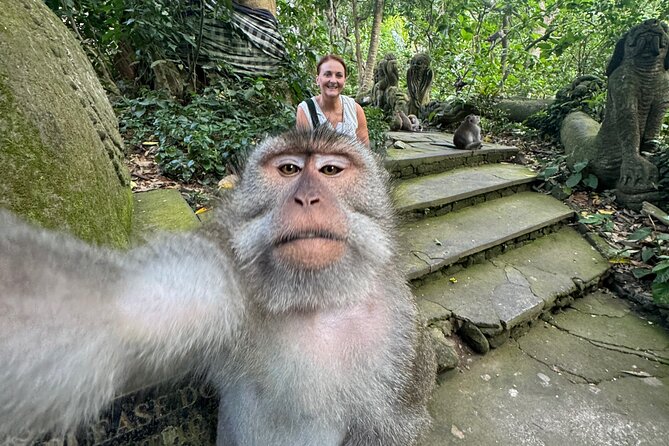 Ubud Day Tour with Private Car & Local Driver - Money and value: what you really pay for