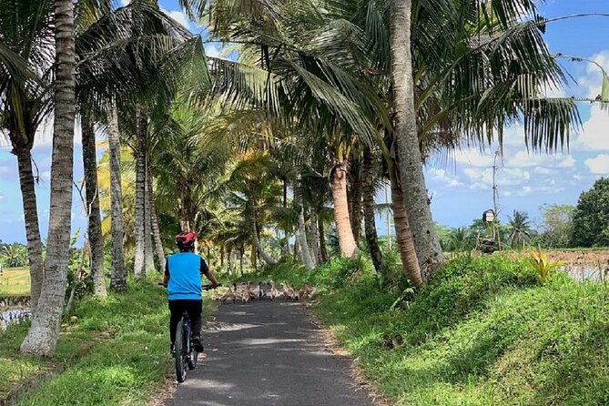 Ubud: Downhill Cycling with Volcano, Rice Terraces and Meal - Value check: why this $36.66 price can make sense