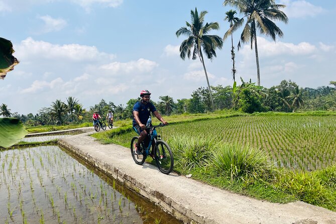 Ubud eBikes Tour to Tegallalang Rice Terrace - Tegallalang Rice Terrace: the main event plus real Balinese lunch time