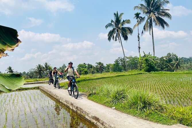 Ubud eBikes Tour to Tegallalang Rice Terrace - Temples, homes, and the cultural stops that make the ride stick