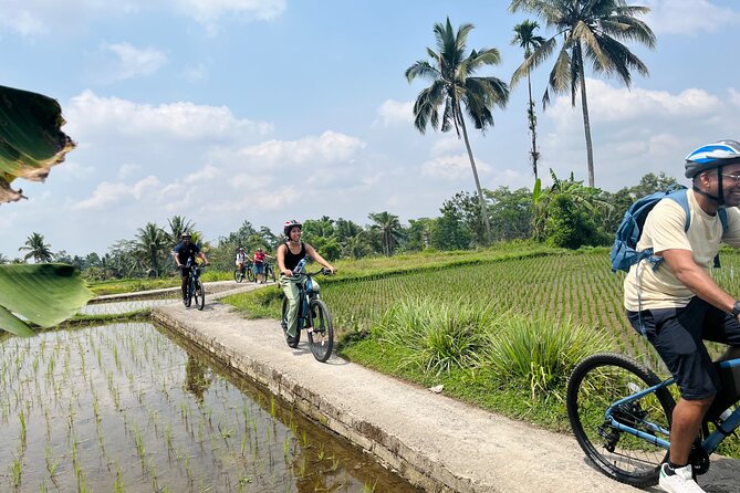 Ubud eBikes Tour to Tegallalang Rice Terrace - Coffee and tea tasting: a likely bonus if your route includes it