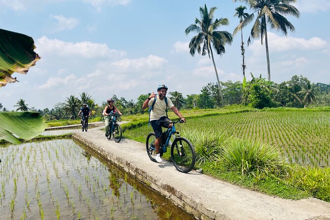 Ubud eBikes Tour to Tegallalang Rice Terrace - How hard is it? e-bike pacing for first-timers and older riders