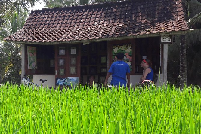 Ubud Eco Culture Cycling Exploration - Where this tour shines for first-timers (and where it’s not ideal)