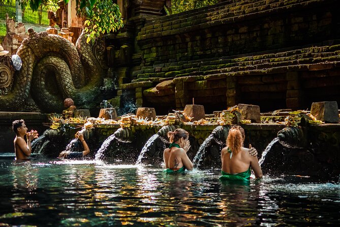 Ubud Experience | Full Day Private Tour in Ubud | FREE WIFI - The Big Picture: What This Ubud Day Is Really Optimized For