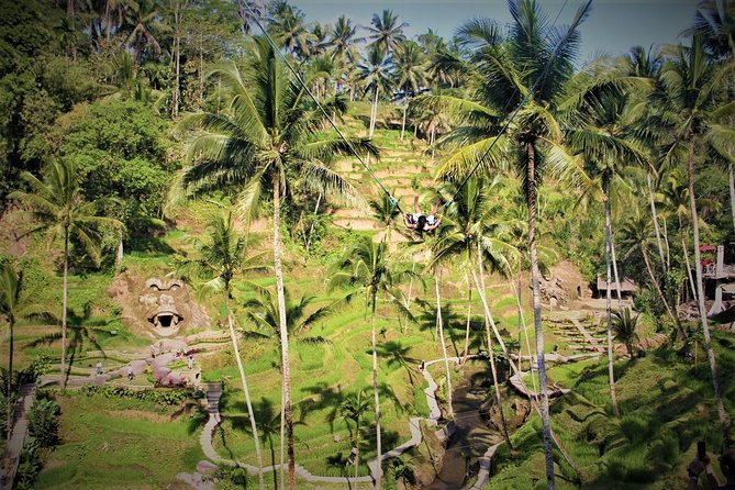 Ubud Experience | Full Day Private Tour in Ubud | FREE WIFI - Sacred Monkey Forest Sanctuary: Beautiful Shade With a Wiggly Caveat