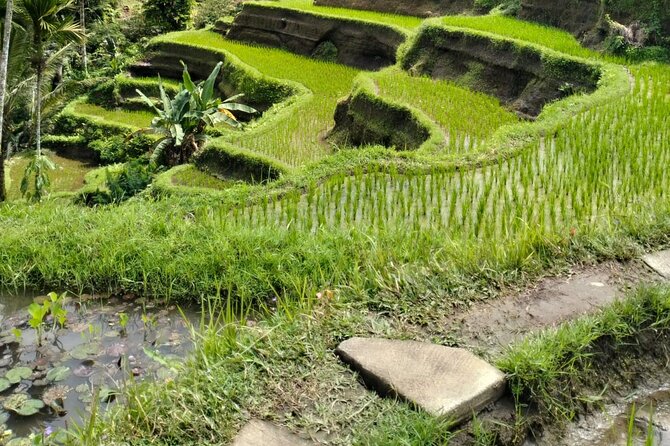 Ubud Explorer Private Day Tour - Tegenungan Waterfall: Beautiful Views With a Real Hike