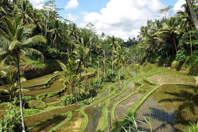 Ubud Explorer Private Day Tour - Tirta Empul Temple: The Sacred Water Temple’s Real Purpose