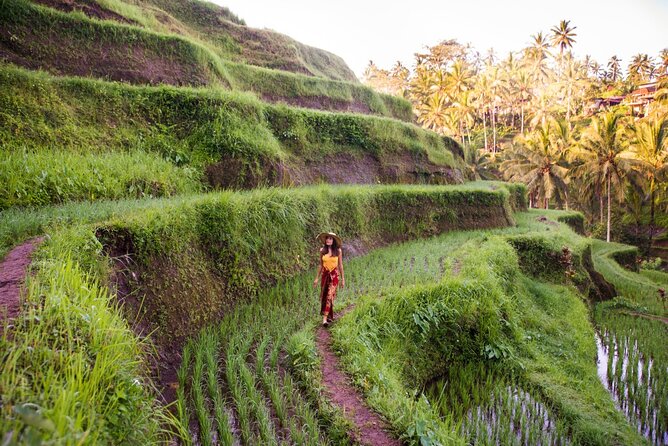 Ubud Full Day ATV Adventure with Rice Terrace and Temple Ritual - Price and value: what $85 covers, and when it’s a smart deal